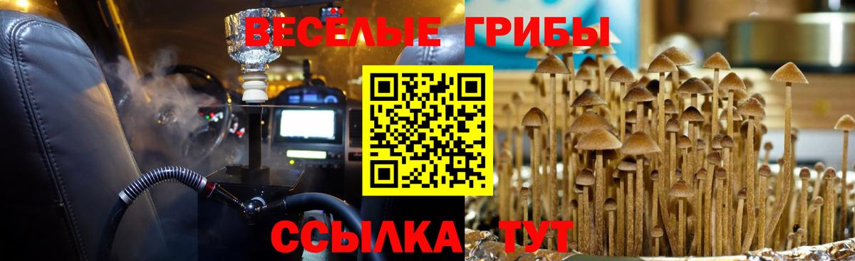 Галлюциногенные грибы прущие грибы  Вход с VPN  Ессентуки 